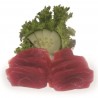 Atun 